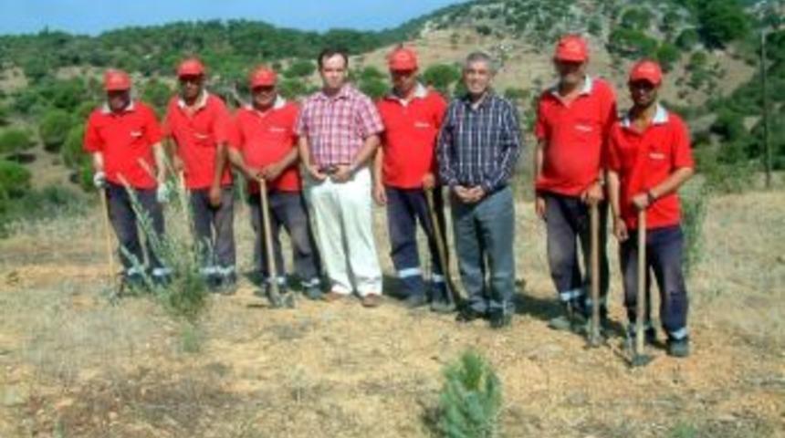 K&ouml;ylerini Yeşillendirip Para Kazanıyorlar