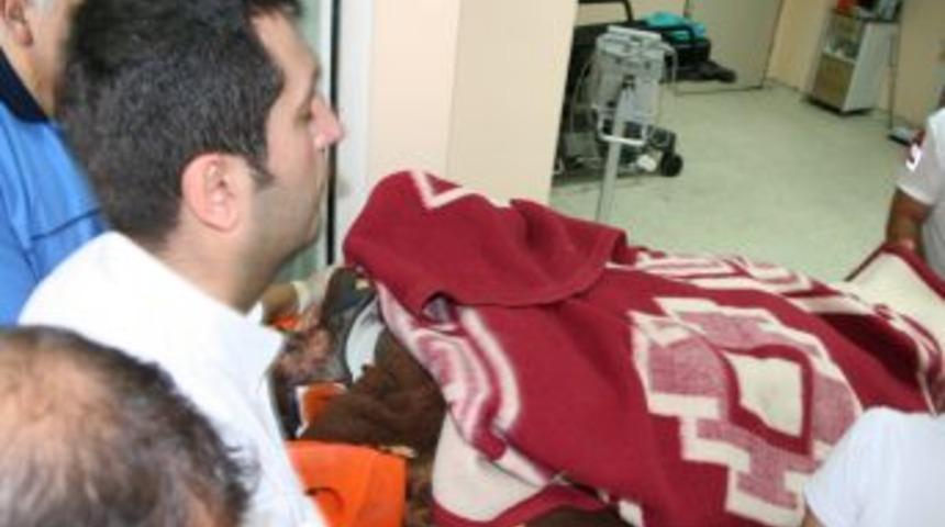 Ayı Saldırısına Uğrayan Muhtar I&ccedil;in Helikopterli Operasyon D&uuml;zenlendi