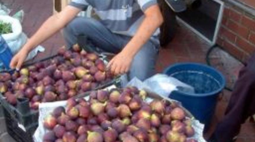 Burhaniye’de İncir Okul Harçlığı Oldu