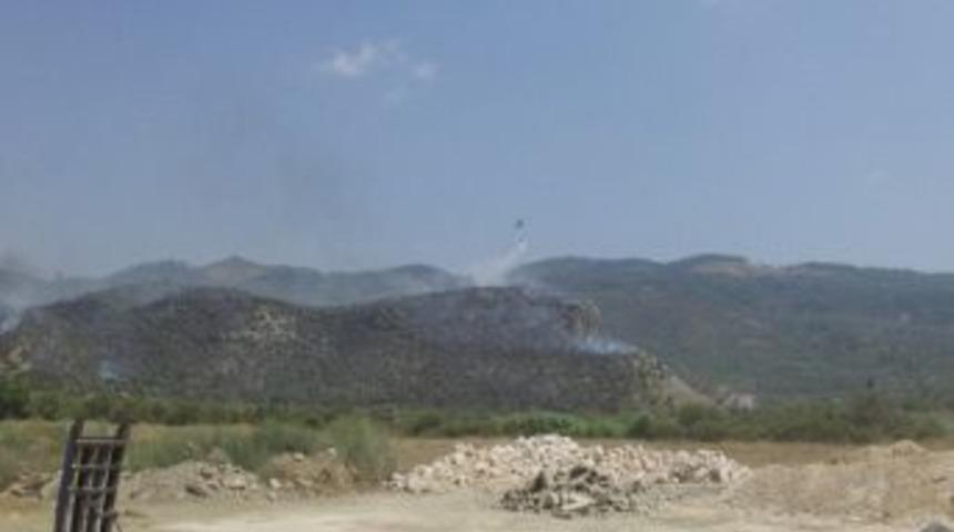 Selçuk İlçesinde Çıkan Yangın Kontrol Altında