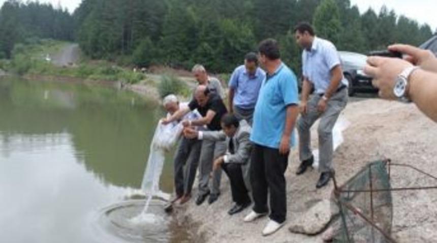 D&uuml;zce&rsquo;de G&ouml;letlere Balık