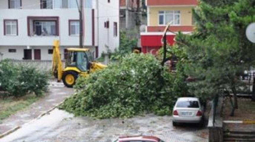Fırtına ağa&ccedil;ları yıktı