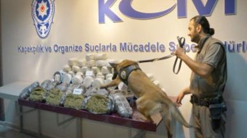 'Hassas Burun'lara Soğan Bile Engel Olamadı