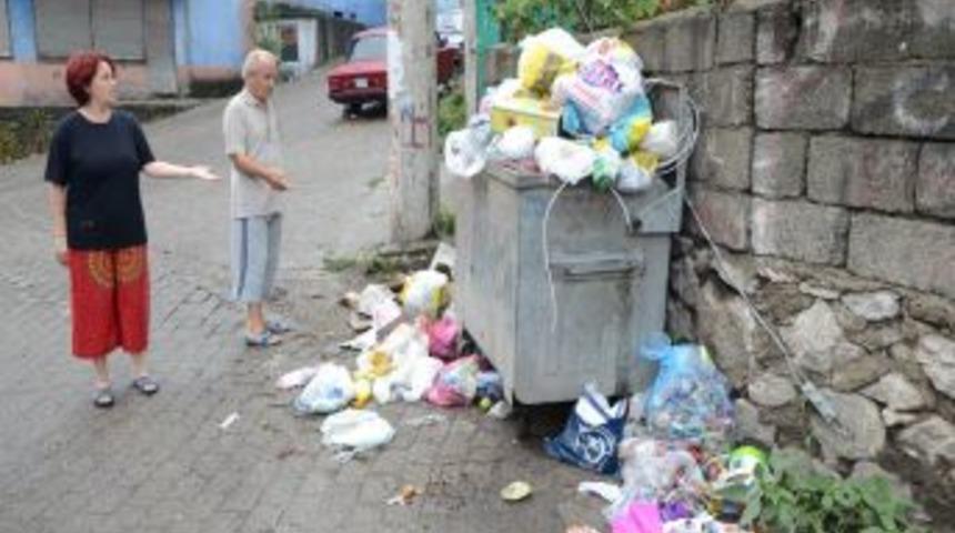 Zonguldak'ta &Ccedil;&ouml;p Konteyneri Isyanı