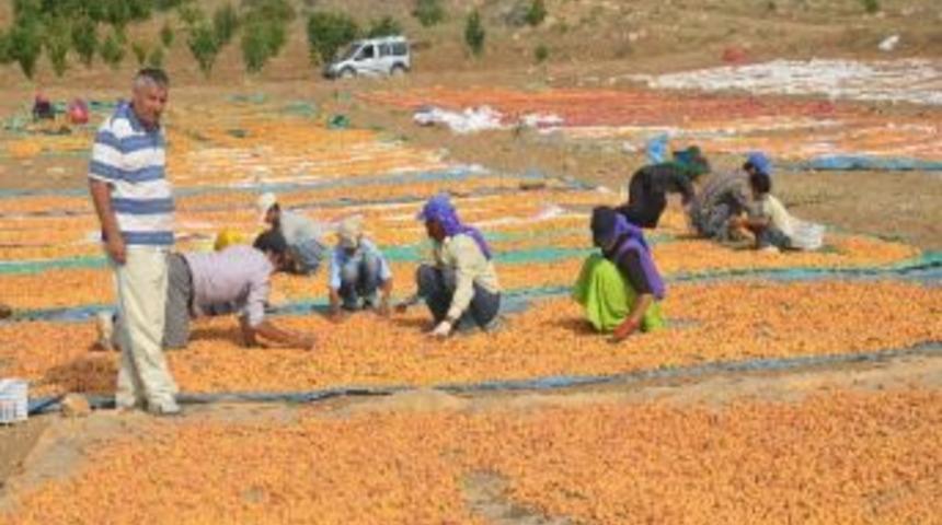 Malatya Ticaret Borsası&rsquo;nda Bir Ayda 62 Milyon 886 Bin Tl&rsquo;lik İşlem
