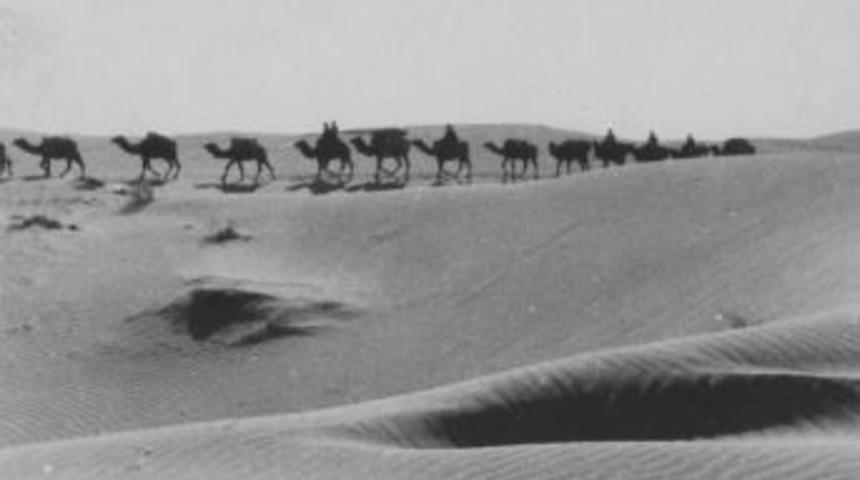 Altın Portakal&rsquo;da &lsquo;pelik&uuml;l&uuml;n İzinde&rsquo;