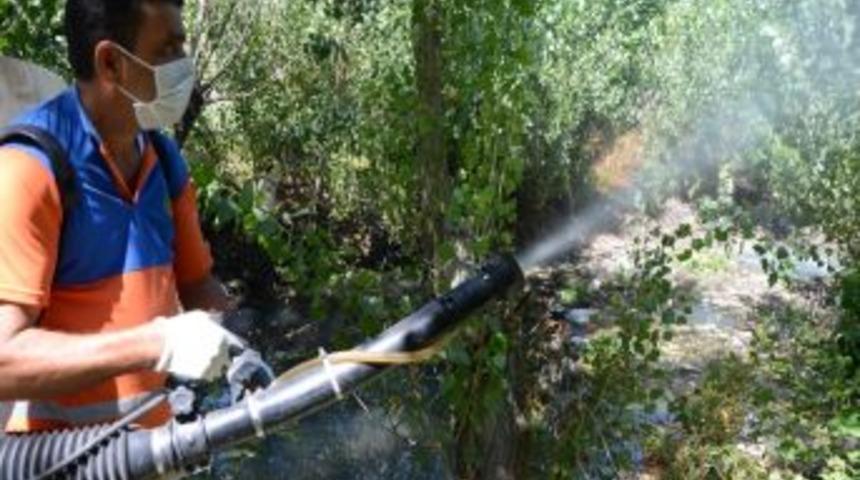 Malatya'da Haşereyle M&uuml;cadele