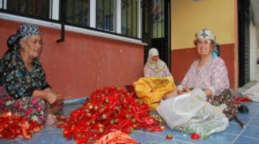 Aydın&rsquo;da K&ouml;yl&uuml; Kadınlara Kış Telaşı Sardı
