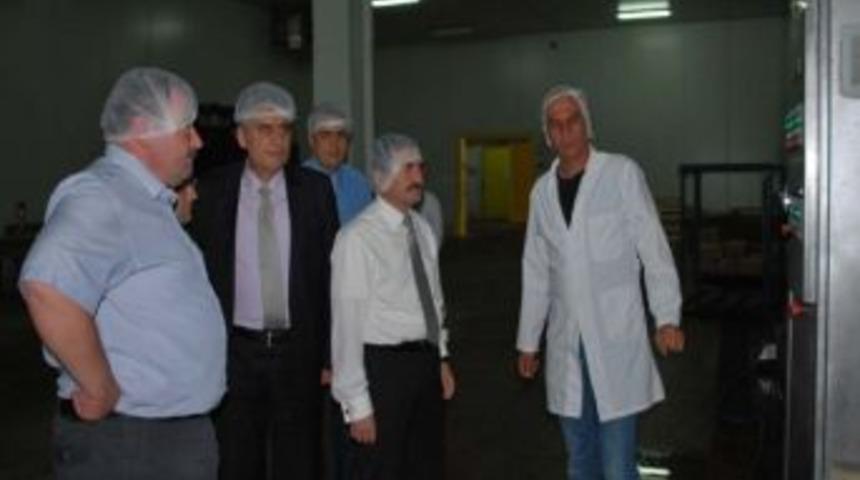 Rekt&ouml;r Karaaslan, Soğuk Hava Entegre Tesislerinde İncelemelerde Bulundu