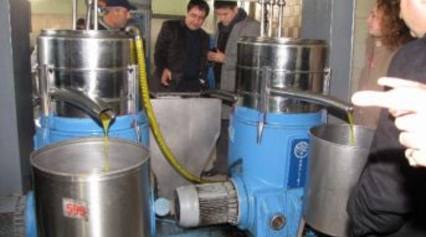 Mtso&rsquo;nun Zeytin Projesi'nin Sonu&ccedil; Raporu A&ccedil;ıklandı