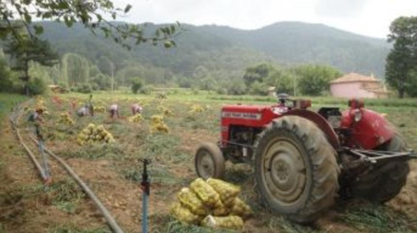 &Ouml;demişli Patates &Uuml;reticilerinin Y&uuml;z&uuml; G&uuml;l&uuml;yor