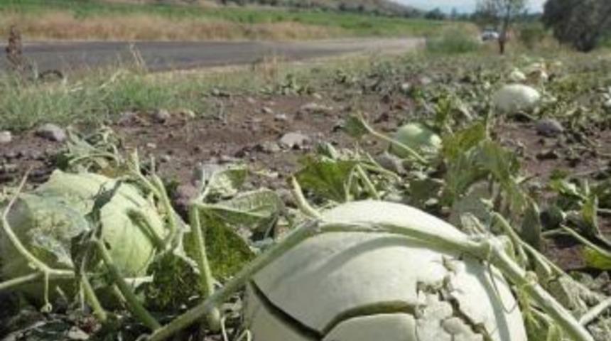 G&ouml;nen'de Dolu &Ccedil;ift&ccedil;iyi Perişan Etti