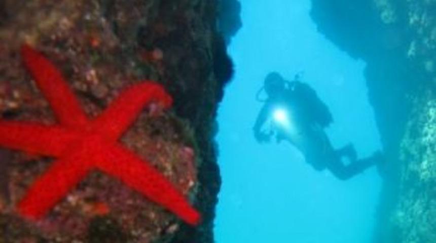 Dilek Yarımadası Milli Parkı'nın Sualtı Dünyası Tanıtılacak