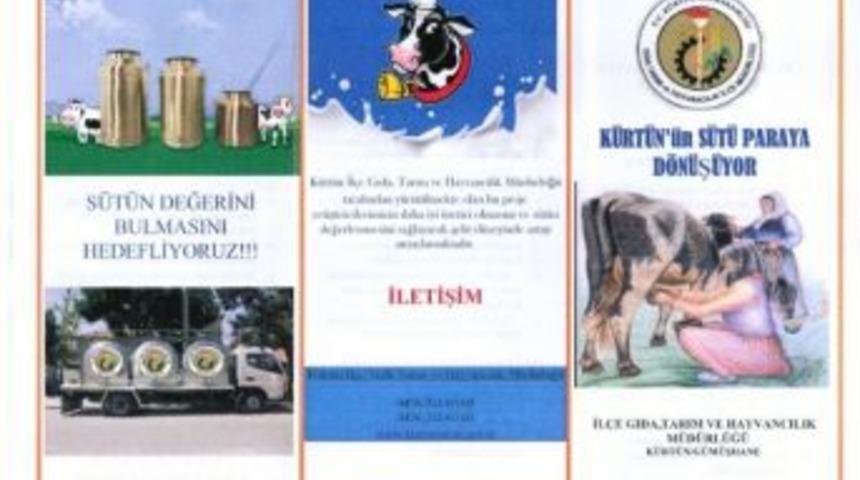 K&uuml;rt&uuml;n'de S&uuml;tler &Ccedil;&ouml;pe Değil Ekonomiye Kazandırılacak