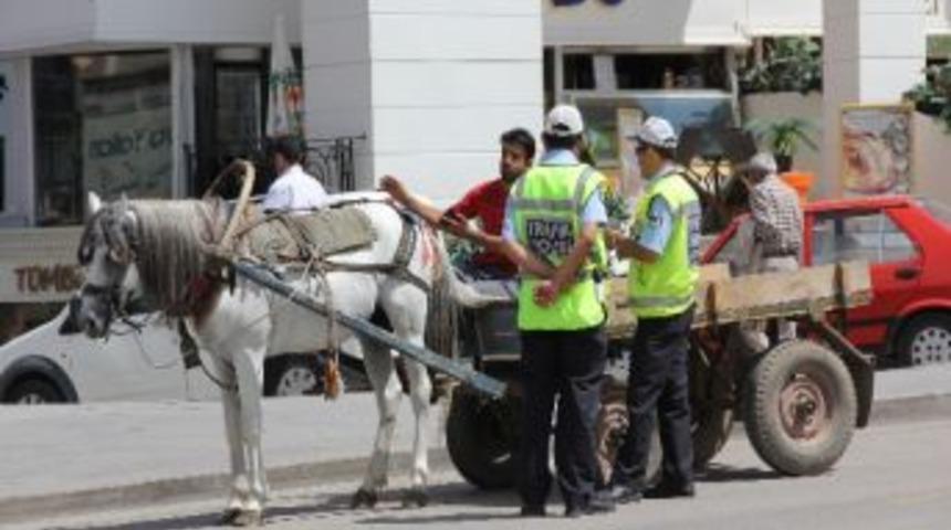 Erzurum&rsquo;da At Arabası Yasağı