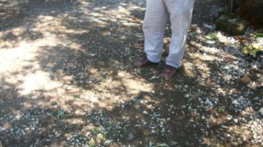 Yağmur Ve Dolu Orhangazili &Uuml;reticiyi Vurdu