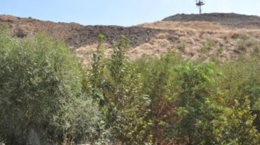 Soma K&ouml;m&uuml;rleri&rsquo;nden &Ccedil;evre Duyarlılığı