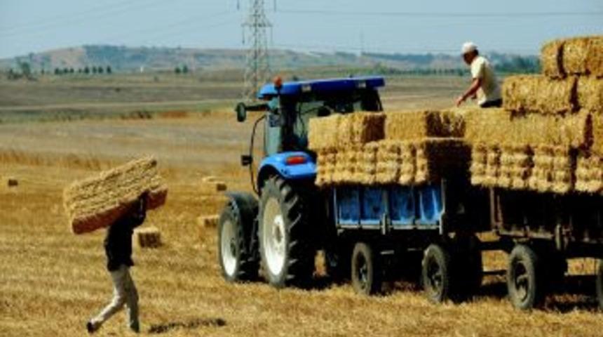 Saman Fiyatları 6 Kat Arttı, Besici Tedirgin