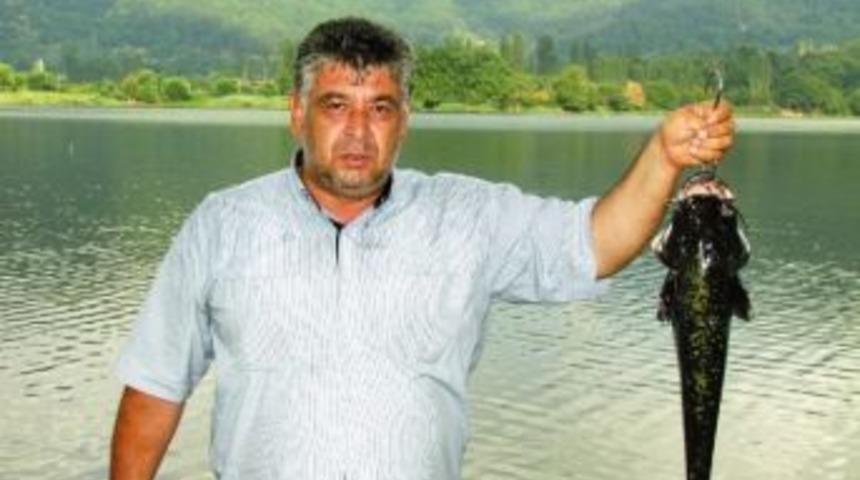 G&ouml;lc&uuml;k&rsquo;te Yayın Balığı Bereketi