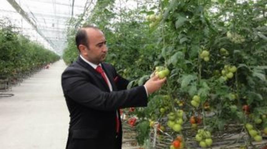 Gıda Tarım İl M&uuml;d&uuml;r&uuml; İl&ccedil;eleri Ziyaret Etti