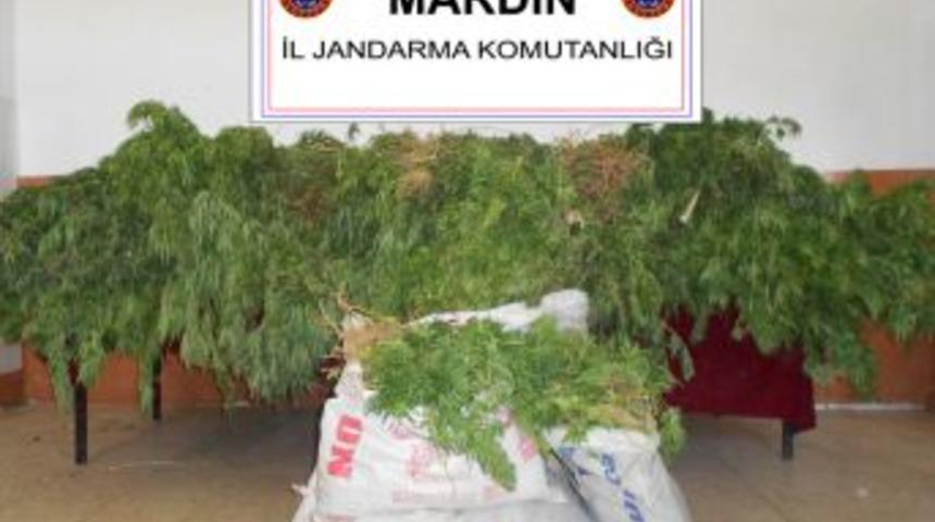 Mardin&rsquo;de 4 Kilogram Uyuşturucu Madde Ele Ge&ccedil;irildi