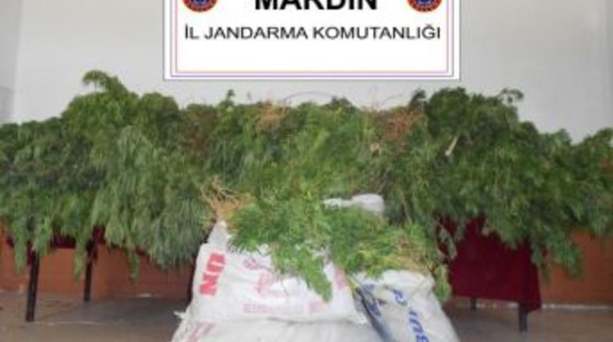 Mardin&rsquo;de 7,5 Kg Uyuşturucu Madde Ele Ge&ccedil;irildi