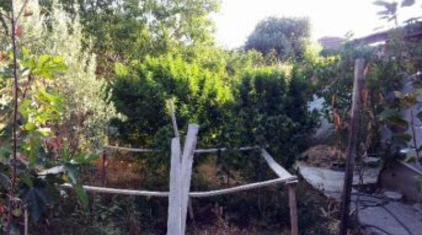 Devriye Gezen Askerlerin Dikkati