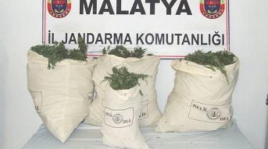 Malatya&rsquo;da 22 Kilo Esrar Ele Ge&ccedil;irildi