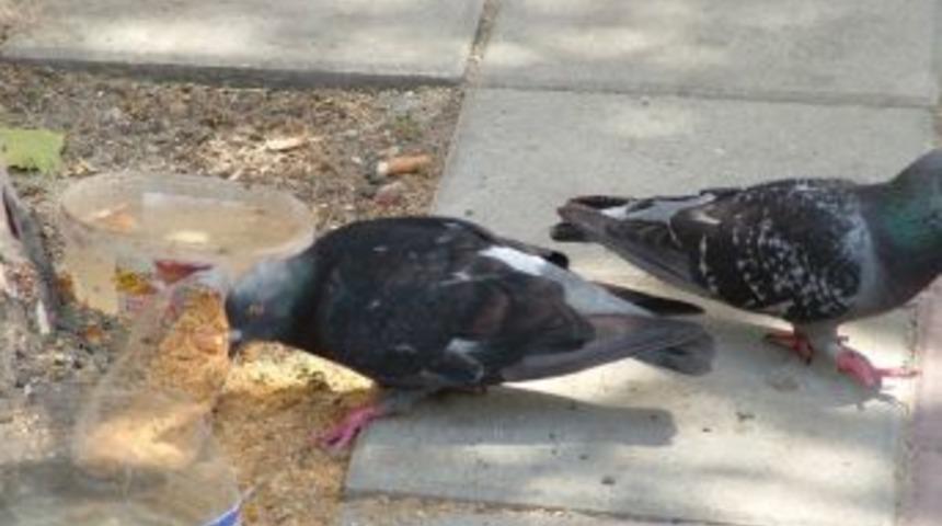 Esnaflardan &Ouml;rnek Davranış