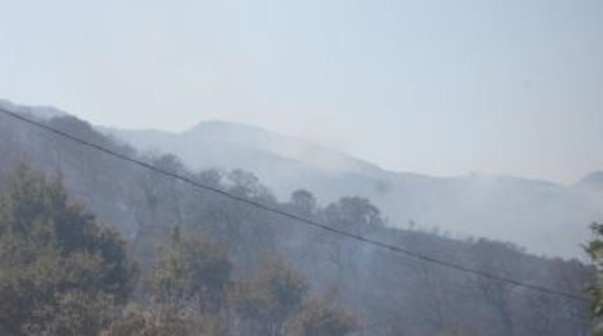 Bodrum&rsquo;da Korkutan Yangın