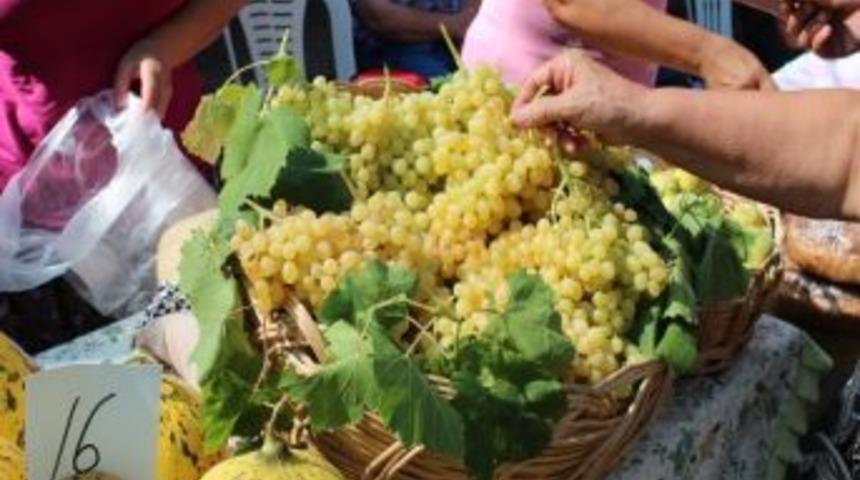 Bağ Bozumu Şenlikleri &Uuml;r&uuml;n Yarışmasıyla Sona Erdi