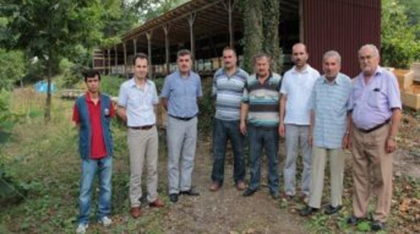 Ge&ccedil;imlerini Kestane Balı İle Sağlıyorlar