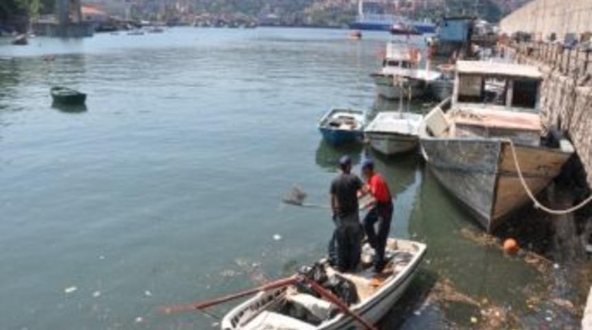 Limandaki &Ccedil;&ouml;pler Zonguldak Belediyesi Tarafından Temizleniyor