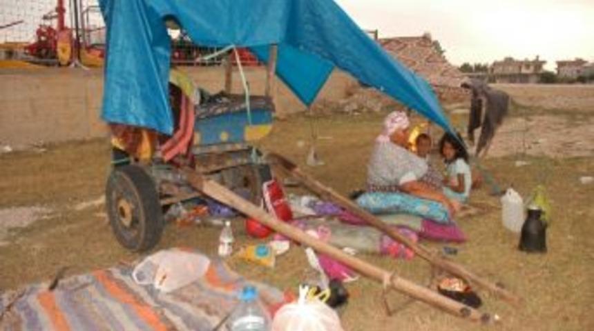 At Arabasında Hayat M&uuml;cadelesi