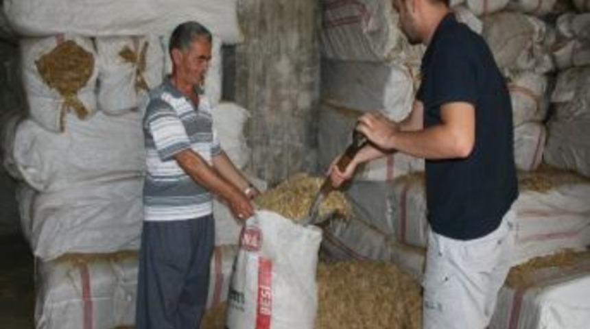 Saman Fiyatları Y&uuml;zde 170 Arttı