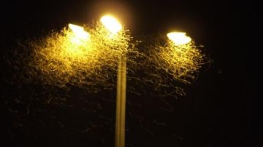 &Uuml;&ccedil; Haftadır &Ouml;l&uuml;mle Dans Ediyorlar