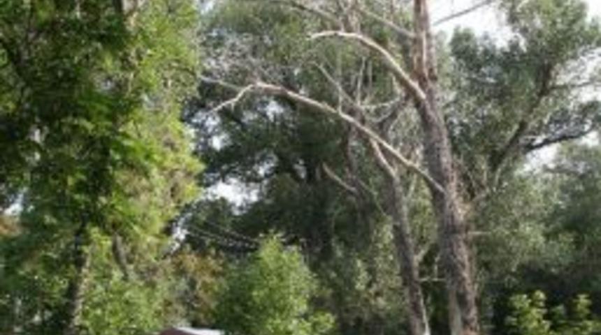 Millet Bah&ccedil;esi &ldquo;kentsel Tasarım Projesi&rdquo; İle Eski G&uuml;nlerine D&ouml;necek