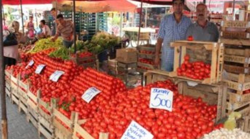 Domates, Biber Patlıcan