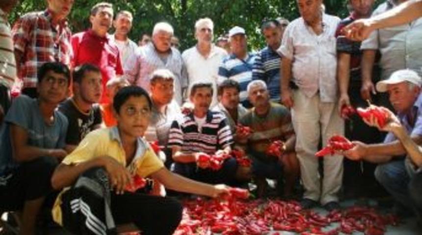 Bibercilerin &lsquo;ekmekli&rsquo; Eylemi