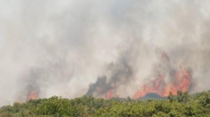 Didim&rsquo;de 150 D&ouml;n&uuml;m Makilik Ve Fundalık Alan Yandı