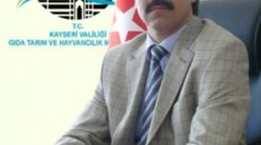 Yeşilhisar Akk&ouml;y Baraj G&ouml;ledi&rsquo;nde Balıklandırma &Ccedil;alışması Yapıldı