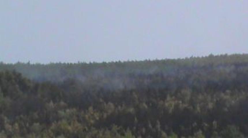 Tekirdağ&rsquo;daki Orman Yangını B&uuml;y&uuml;meden S&ouml;nd&uuml;r&uuml;ld&uuml;