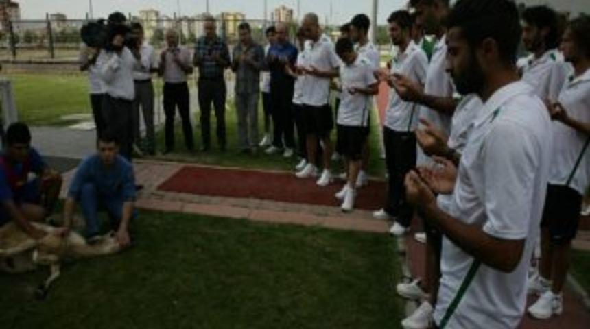 Sekerspor Sezonu A&ccedil;tı