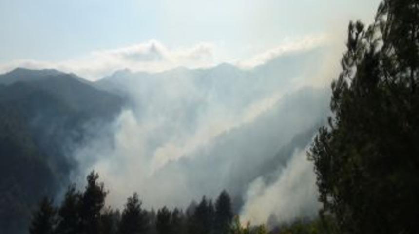 Kahramanmaraş'ta Orman Yangını