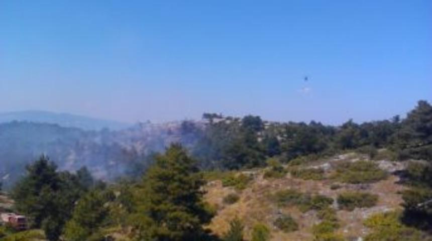 Kepsutta Orman Yangını