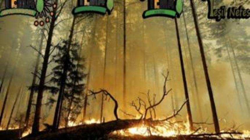 Orman Yangınlarının Tek Nedeni İnsan