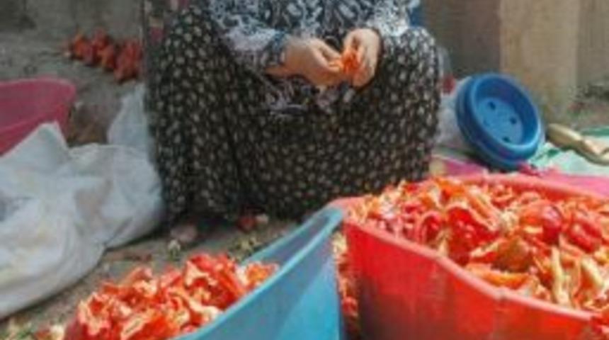 Şanlıurfa'da İsot Sezonu A&ccedil;ıldı