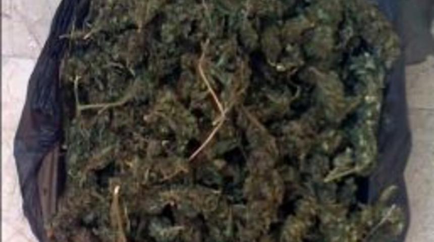 Aydın&rsquo;da Uyuşturucu Operasyonu