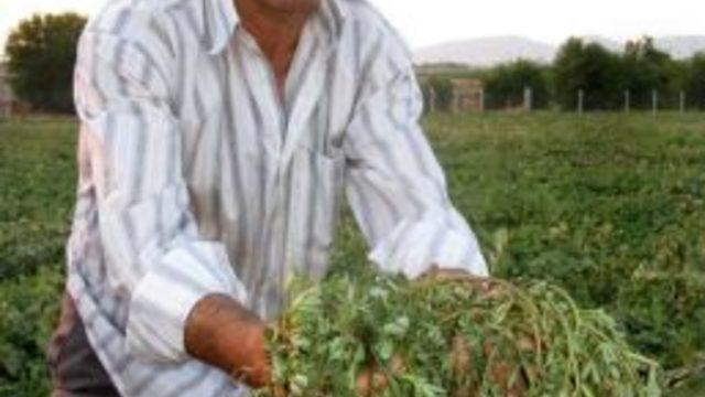 Pirpirim, Arabanlıların Sofralarının Vazgeçilmezi Oldu