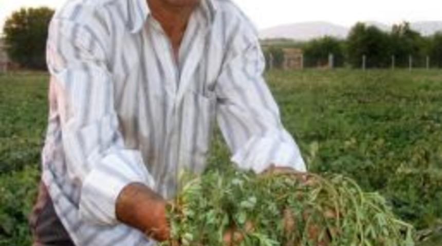 Pirpirim, Arabanlıların Sofralarının Vazgeçilmezi Oldu